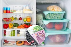consumi frigorifero congelatore